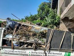 Best Electronics and E-Waste Disposal  in Hazen, AR